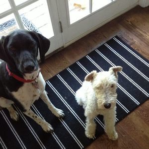 Meet your Posher, Pat